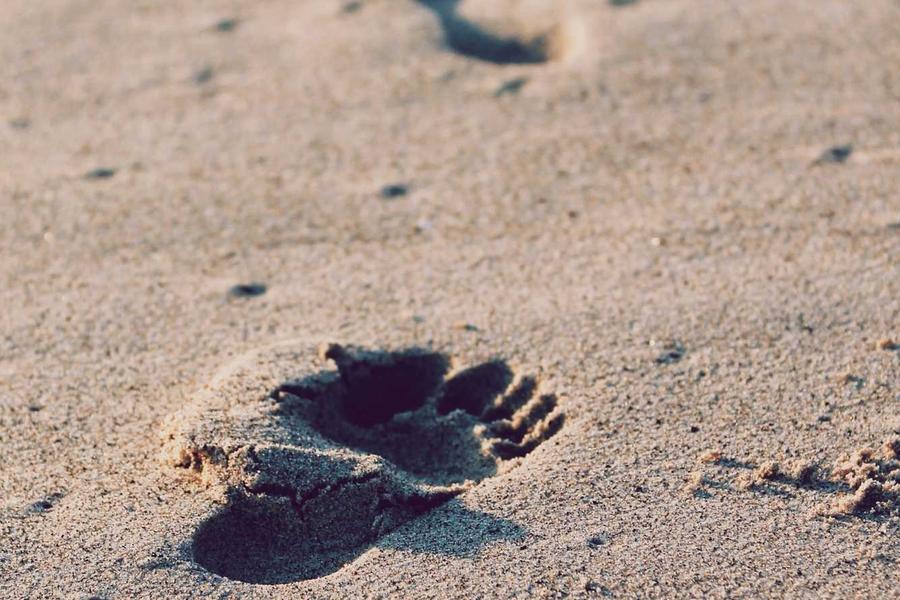 المعرض السنوي للسياحة والسفر 2026